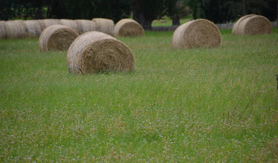 TAFCO Bulk Fertiliser & Spreading