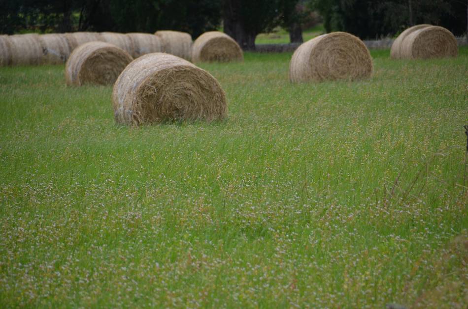 TAFCO Rapidfert Bulk Fertiliser & Spreading